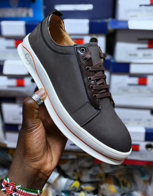 Timberlands